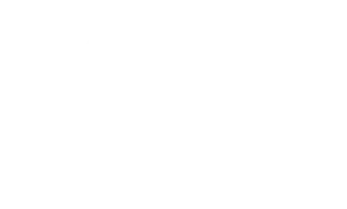 Team Synergy